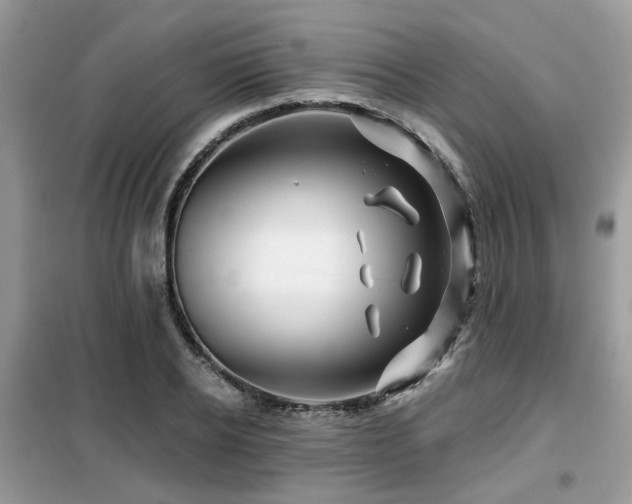X0000099450934200805091502