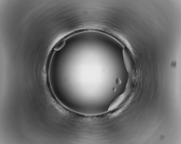 X0000099450936200805091503