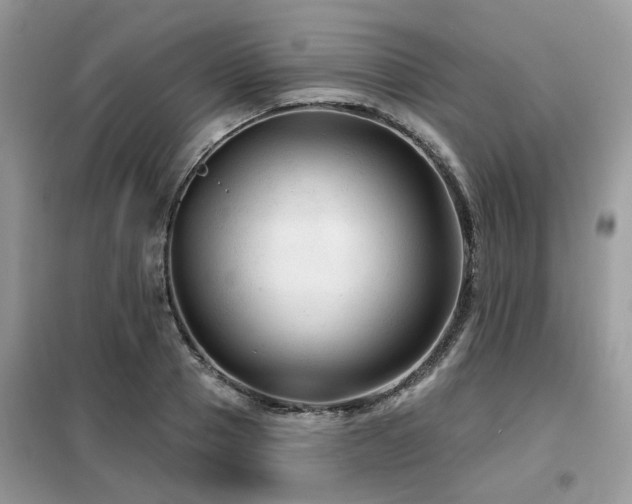 X0000099450937200805091503