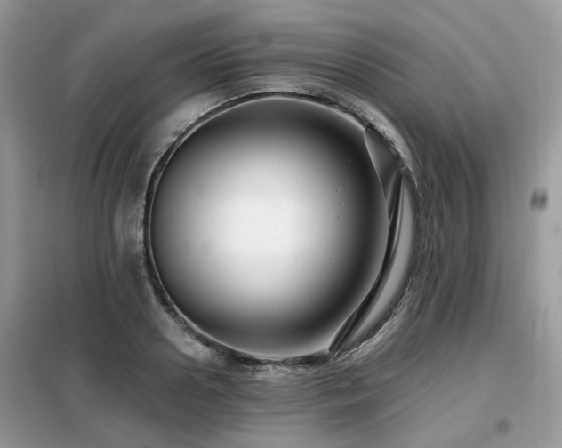 X0000099450938200805091503