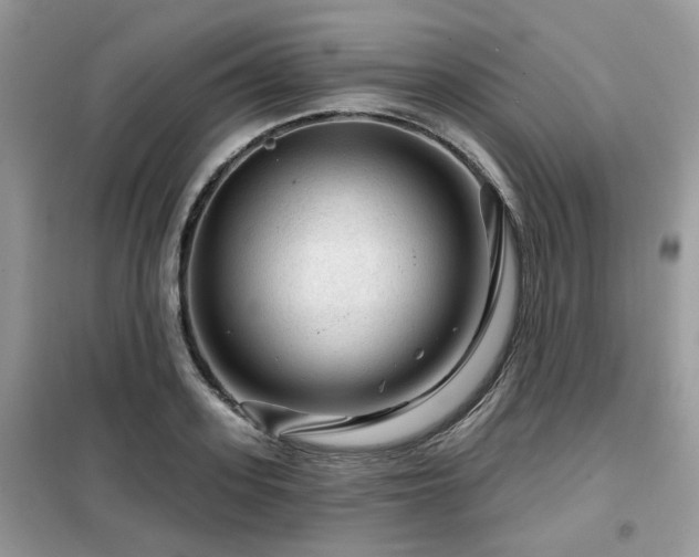 X0000099450939200805091503