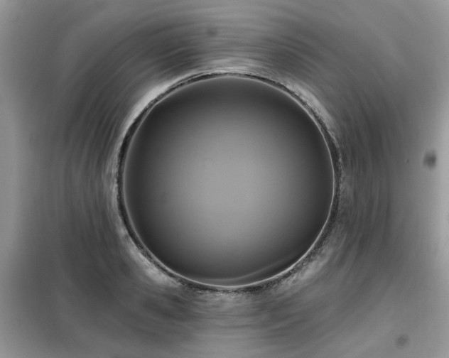 X0000099450941200805091503