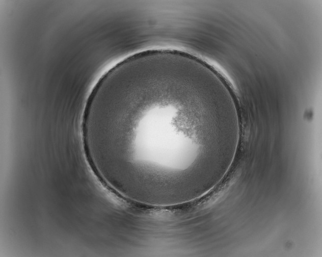 X0000099450943200805091503