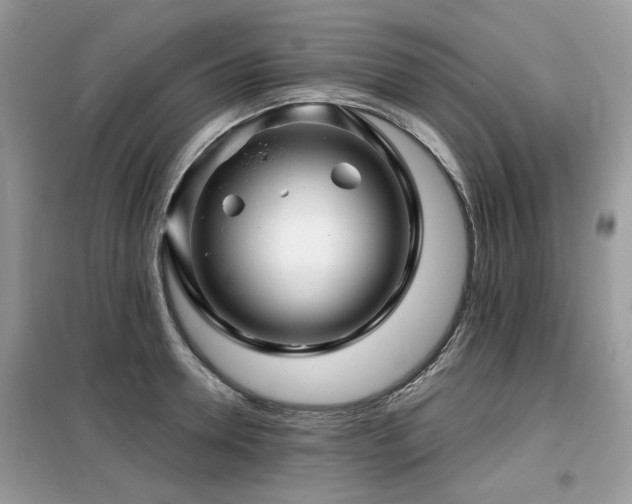 X0000099450946200805091503