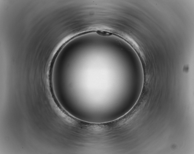 X0000099450947200805091503