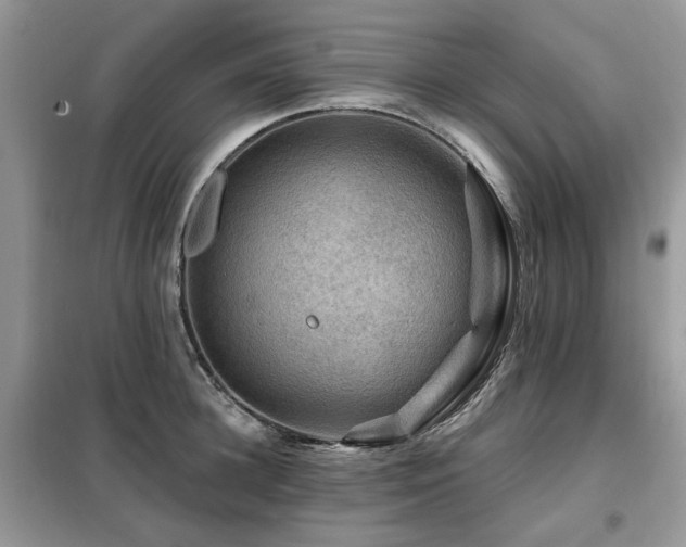 X0000099450948200805091503