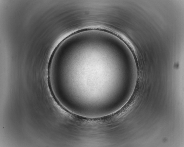 X0000099450951200805091503