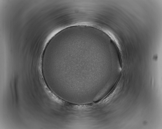 X0000099450952200805091503