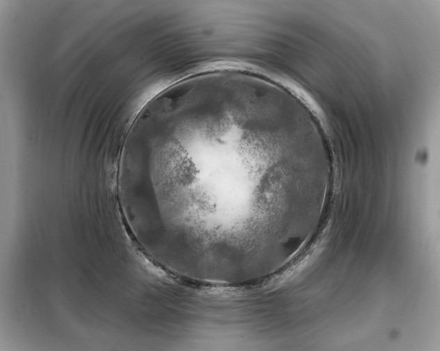 X0000099450953200805091503