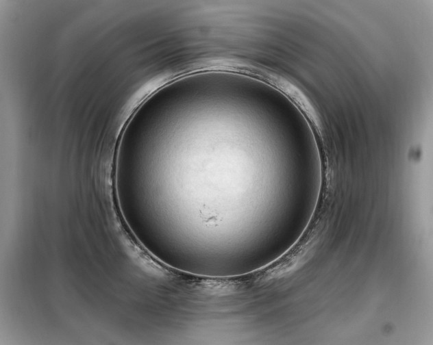 X0000099450954200805091503