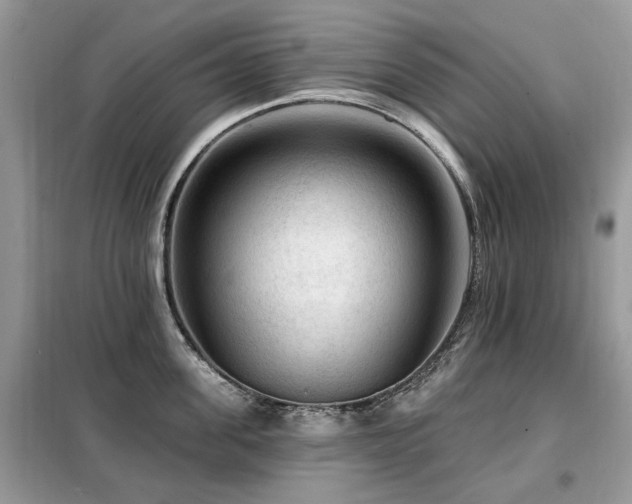 X0000099450955200805091503