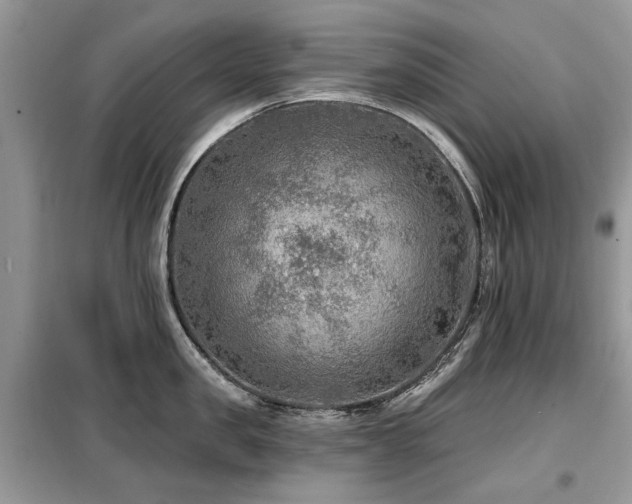 X0000099450957200805091503