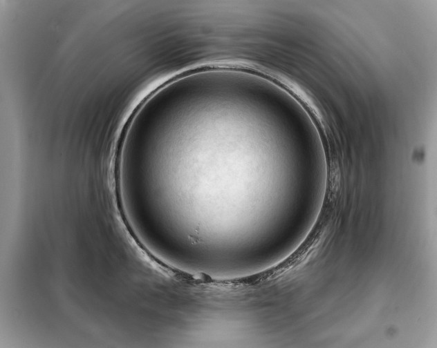 X0000099450959200805091503