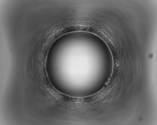 X0000099450961200805091502