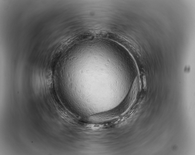 X0000099450963200805091502
