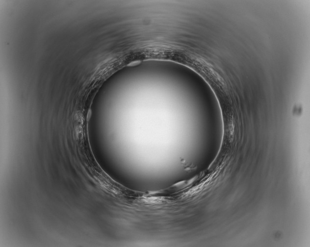 X0000099450964200805091502