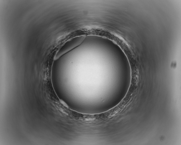 X0000099450965200805091502