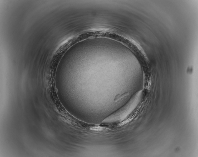 X0000099450967200805091502