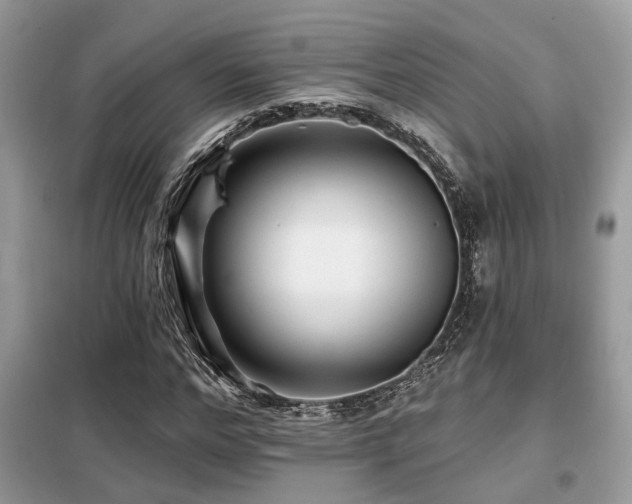 X0000099450968200805091502
