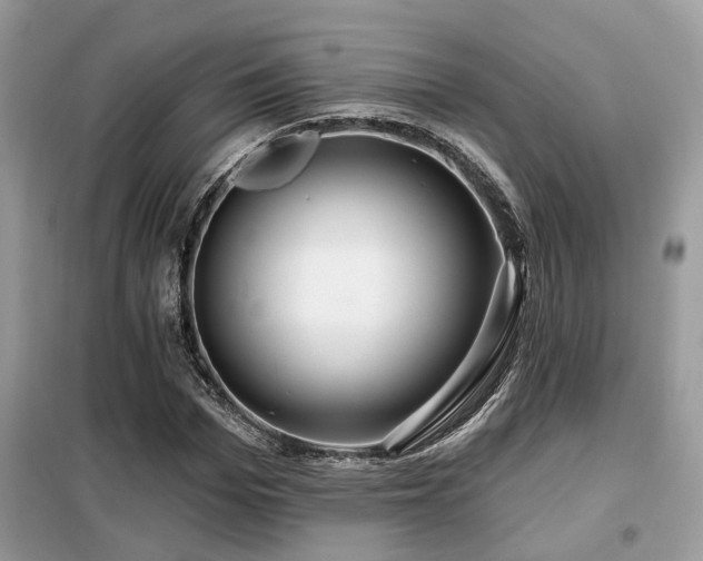 X0000099450969200805091502