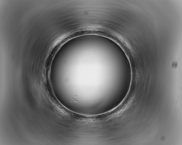 X0000099450970200805091502