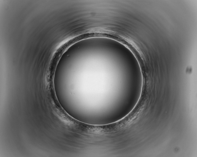 X0000099450971200805091502