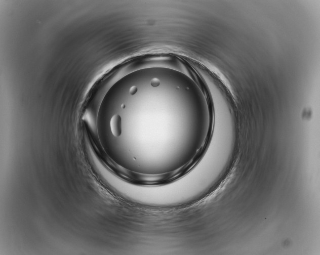 X0000099450973200805091502