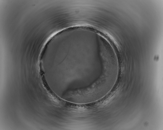 X0000099450975200805091502