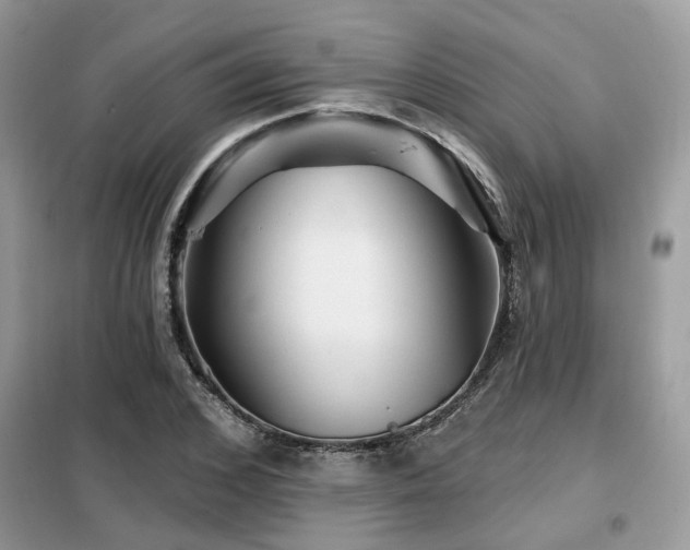 X0000099450976200805091502