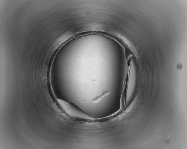 X0000099450977200805091502