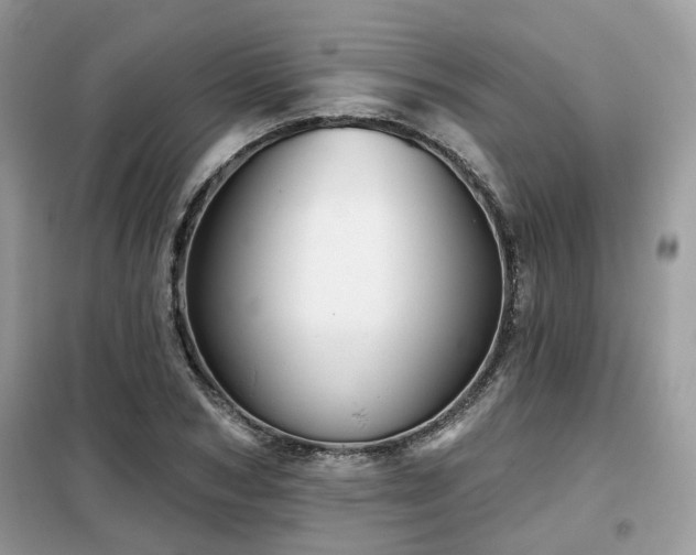 X0000099450978200805091502