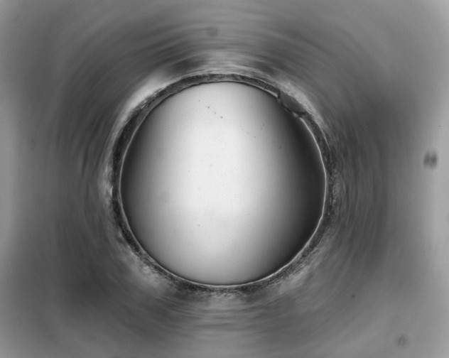 X0000099450979200805091502