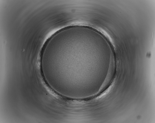 X0000099450981200805091502