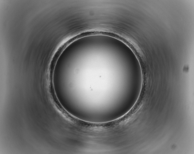 X0000099450982200805091502