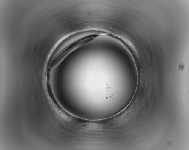 X0000099450984200805091502