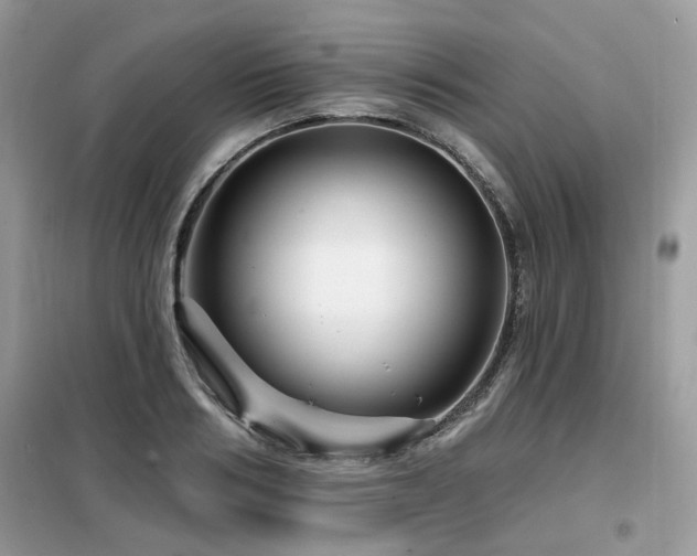 X0000099450986200805091502