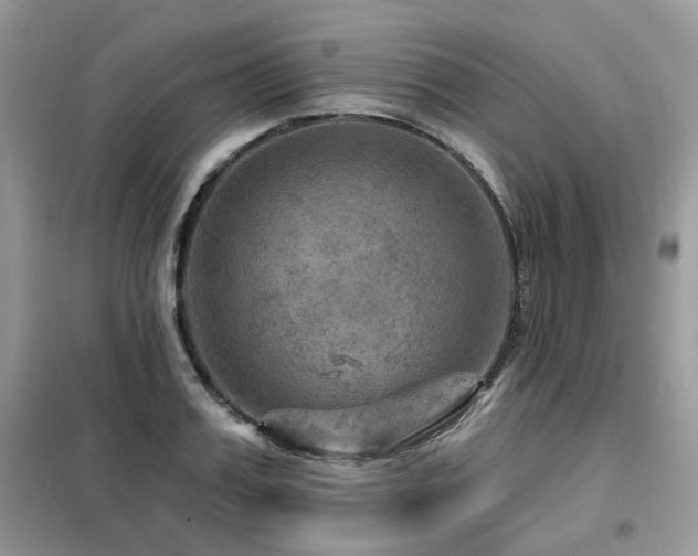 X0000099450987200805091502