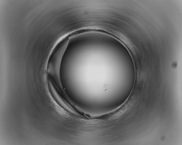 X0000099450988200805091502