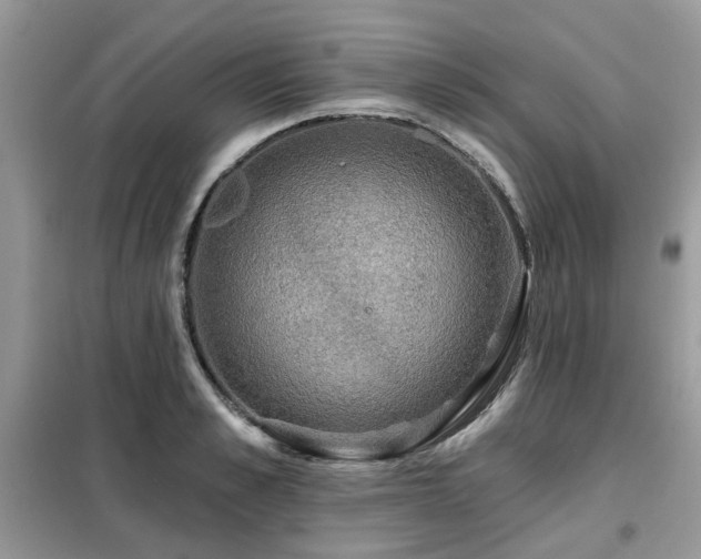 X0000099450989200805091502