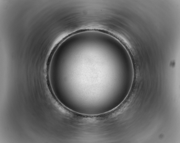 X0000099450990200805091502