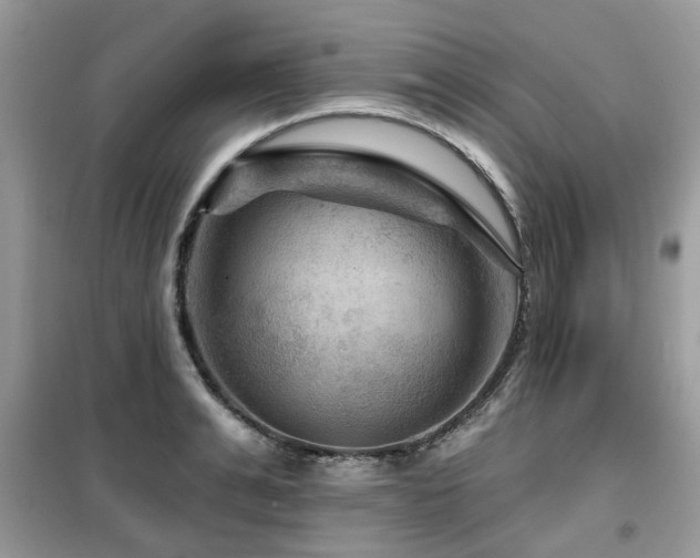 X0000099450991200805091502