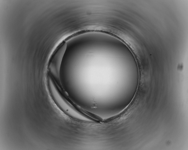 X0000099450992200805091502