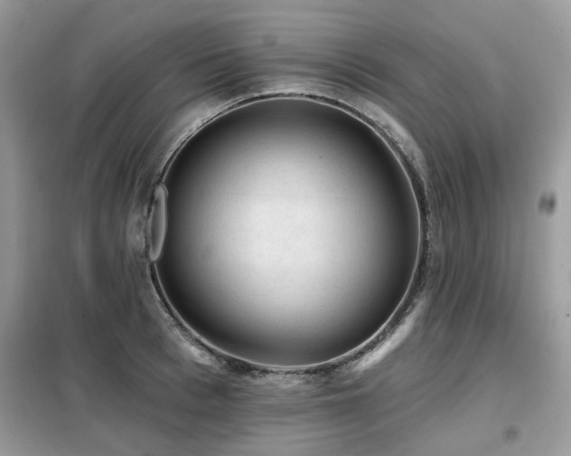 X0000099450993200805091502