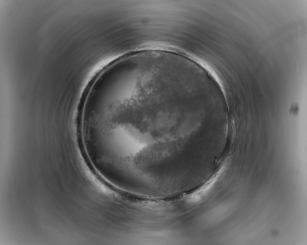 X0000099450995200805091502