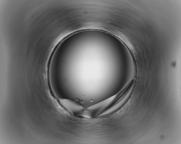 X0000099450996200805091502