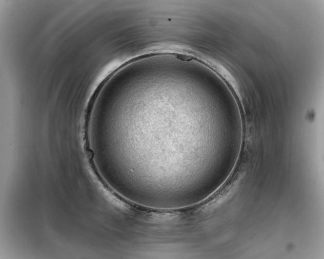 X0000099450997200805091502