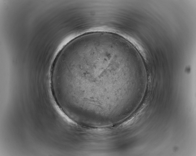 X0000099450998200805091502