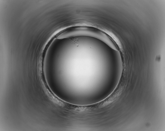X0000099451000200805091502