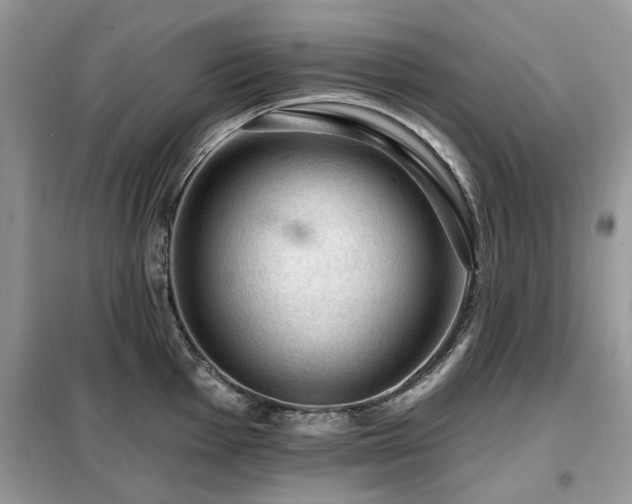 X0000099451001200805091502