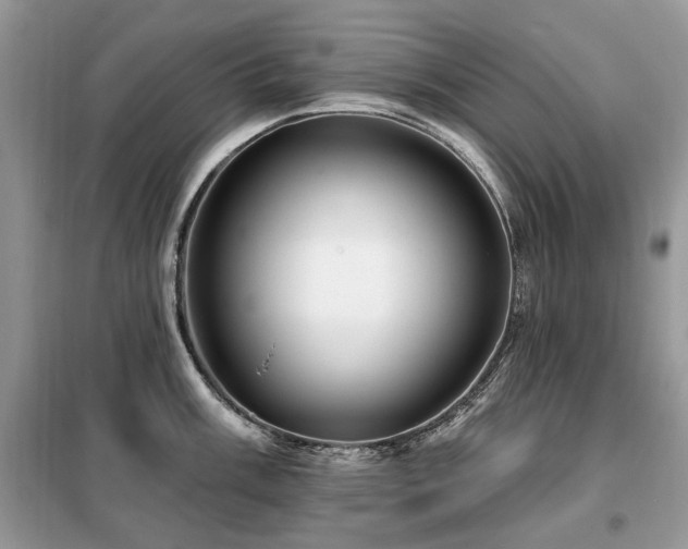X0000099451003200805091502